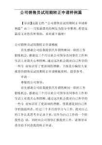 公司销售员试用期转正申请样例篇