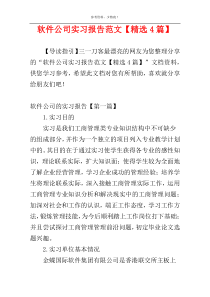 软件公司实习报告范文【精选4篇】