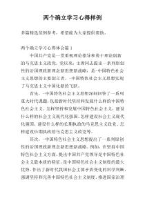 两个确立学习心得样例