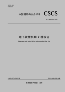 TCSCS 028-2022 地下铣槽机用V槽板齿