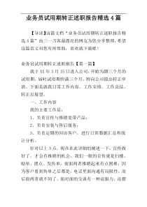 业务员试用期转正述职报告精选4篇