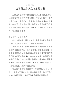 公司员工个人实习总结2篇