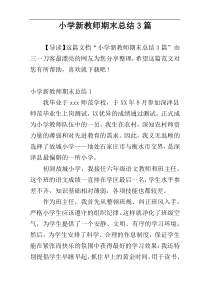 小学新教师期末总结3篇