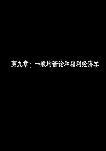 微观第九章一般均衡论和福利经济学