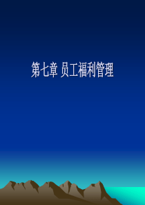 成都龙恒置地房地产开发公司薪酬福利制度