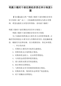 明溪口镇村干部任期经济责任审计制度5篇