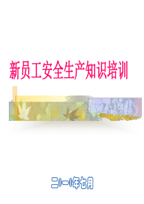 新员工安全教育培训