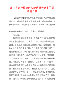 在中央巡视整改回头看动员大会上的讲话稿5篇