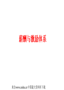 【XX顾问公司薪酬与激励体系】（PPT56页）