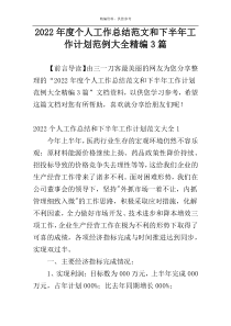 2022年度个人工作总结范文和下半年工作计划范例大全精编3篇