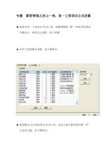 专题 薪资管理公式设置