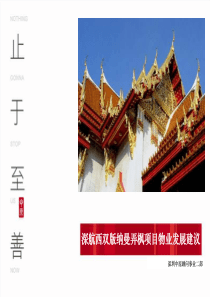 中原XXXX年深航西双版纳曼弄枫项目物业发展建议85P