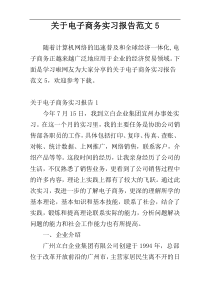 关于电子商务实习报告范文5