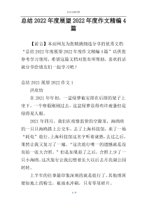 总结2022年度展望2022年度作文精编4篇