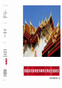 中原_深航西双版纳曼弄枫项目物业发展建议_85PPT