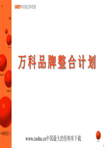 万科品牌整合计划(PPT 20)