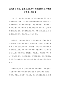 县纪委副书记、监委副主任学习贯彻党的二20十大精神心得体会稿2篇