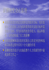 人力资源8薪酬制度设计原理