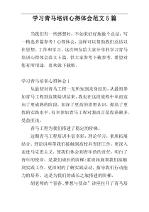 学习青马培训心得体会范文5篇