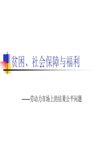 第九章 贫困、社会保障与福利