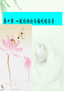 第十章一般均衡论与福利经济学