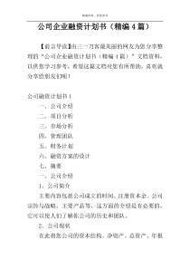 公司企业融资计划书（精编4篇）