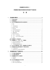 广西防城港区域经济发展状况和房地产市场状况_43页