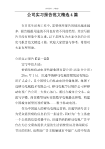 公司实习报告范文精选4篇