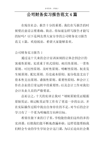 公司财务实习报告范文4篇