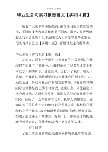 毕业生公司实习报告范文【实用4篇】