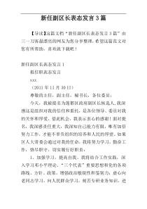 新任副区长表态发言3篇