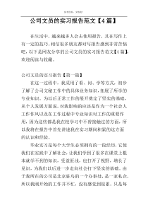 公司文员的实习报告范文【4篇】