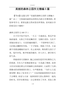 美丽的森林公园作文精编5篇