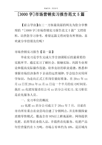 [3000字]市场营销实习报告范文5篇