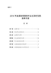 XXXX年选调优秀高校毕业生到村任职报考手册