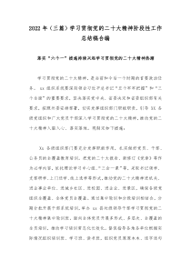 2022年（三篇）学习贯彻党的二十大精神阶段性工作总结稿合编