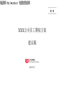 XX公司员工期权方案建议稿