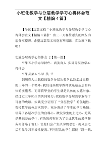 小班化教学与分层教学学习心得体会范文【精编4篇】