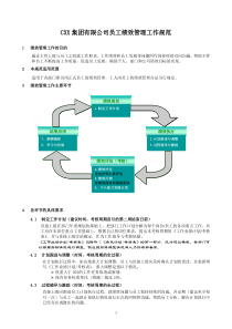 XX集团有限公司员工绩效管理工作规范样例