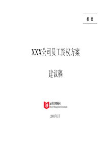 X公司员工期权方案建议稿《恒》