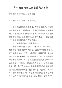 青年教师培训工作总结范文5篇