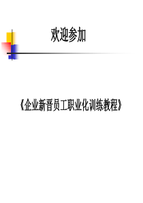 《企业新晋员工职业化训练教程》 PPT34页