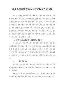 浅析基层消防中队灭火救援战斗力的形成(doc5)(1)