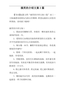 搞笑的介绍文案3篇