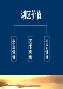 房地产湖区项目价值研究-33PPT