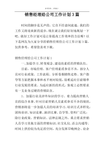 销售经理给公司工作计划3篇