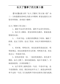 长大了懂事了的文案3篇