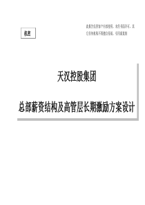 天汉控股集团总部薪资结构及高管层长期激励方案设计