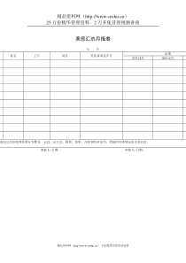 奖惩汇总月报表（DOC 1页）