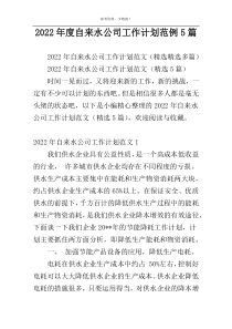 2022年度自来水公司工作计划范例5篇